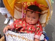 IMG_1395.jpg 800x600 24bit 2004/07/22 17:53:48 72.4KB