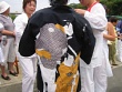IMG_1412.jpg 800x600 24bit 2004/07/22 17:54:26 63.3KB